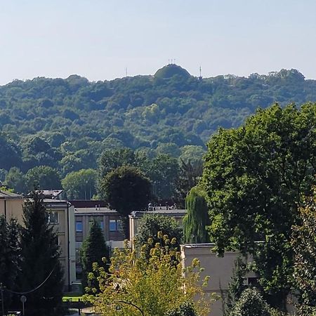 Apartament Salwator Falata Krakow Dış mekan fotoğraf